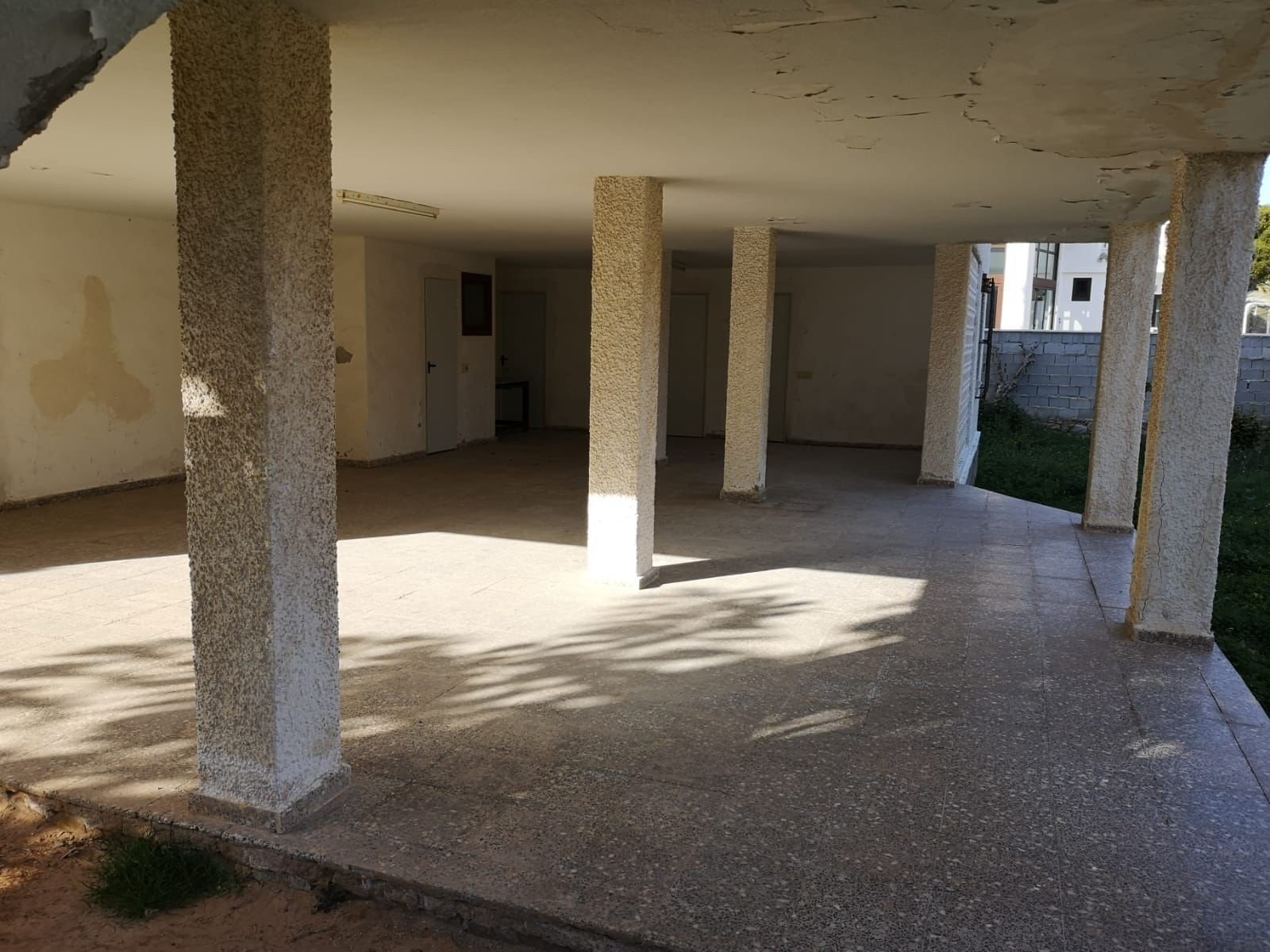La Zenia