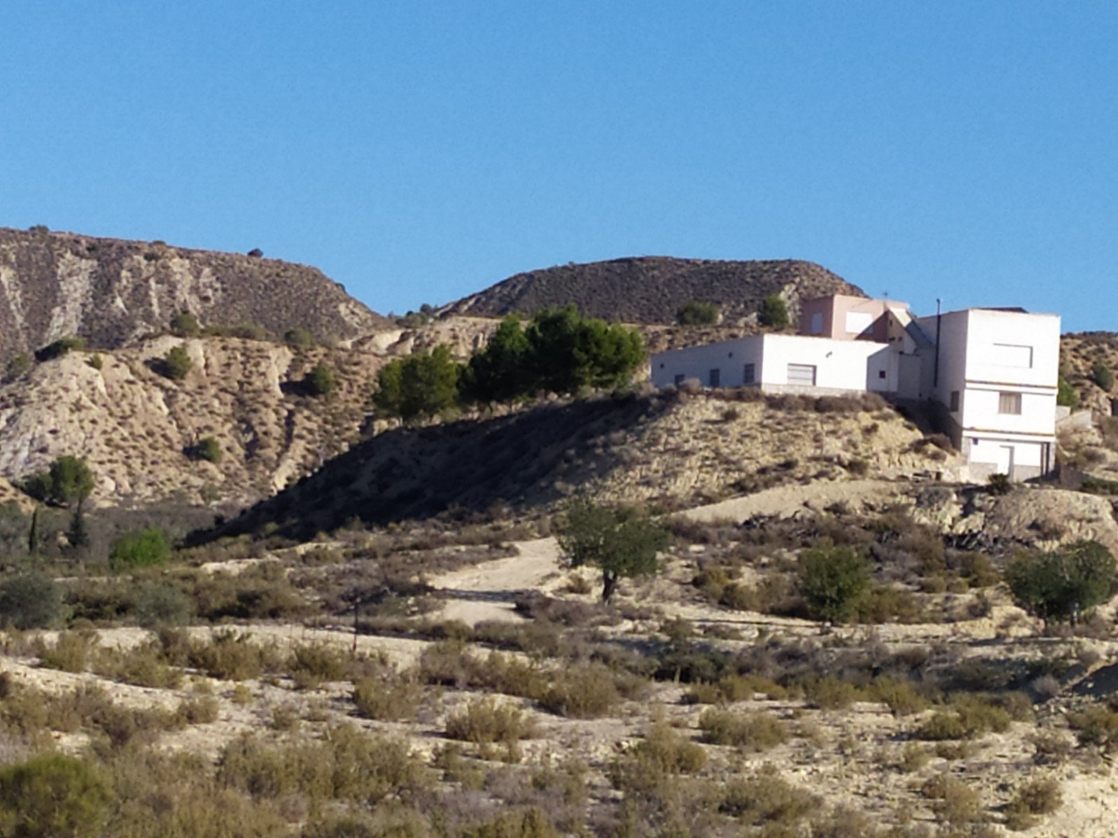Zona Centro