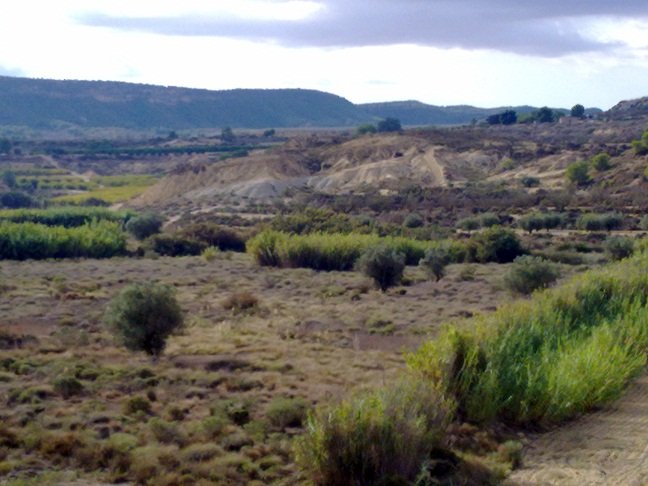 Zona Centro