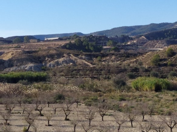 Zona Centro